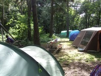 dscf9799_med